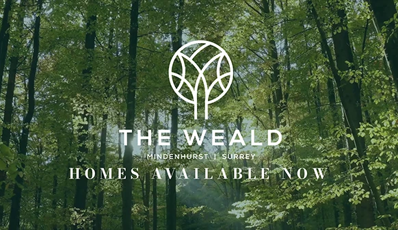 the weald website